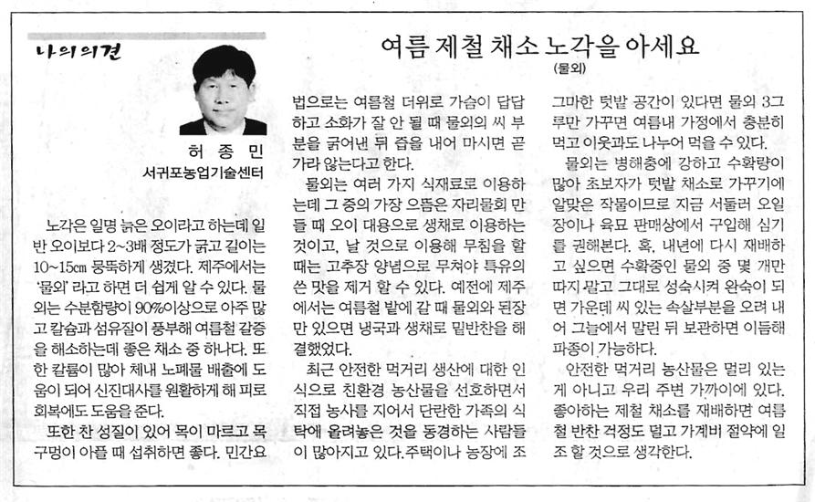 여름 제철 채소 노각을 아세요[제주매일, 5.23]